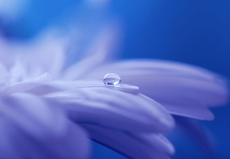 Enchanted Spells Image